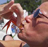 [Times photo: Douglas Clifford]  Karen Barefoot of Port Richey samples a boiled Cajun crayfish Sunday. 