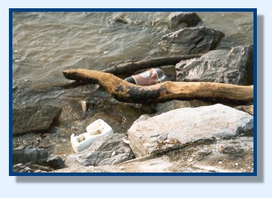 garbage.jpg (34739 bytes)