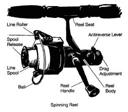 spinning reel