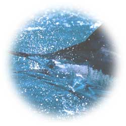 Saltwater Fishing