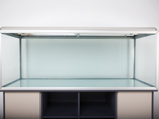 Empty Fish Aquarium