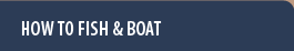 How to Fish and Boat
