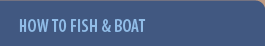 How to Fish and Boat