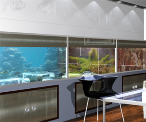 Saltwater Aquariums