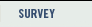 Survey